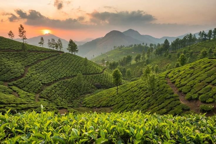Kerala Tour