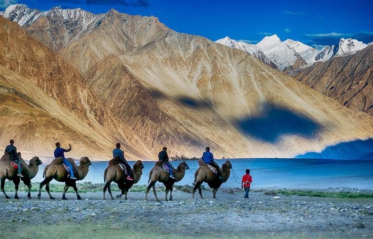 Leh and Ladakh Tour Packages